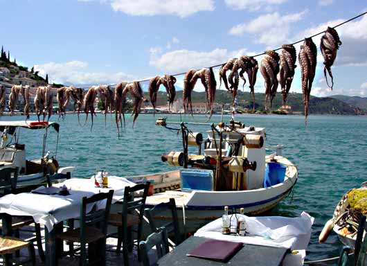 Octopus for lunch, Gytheio - click to close