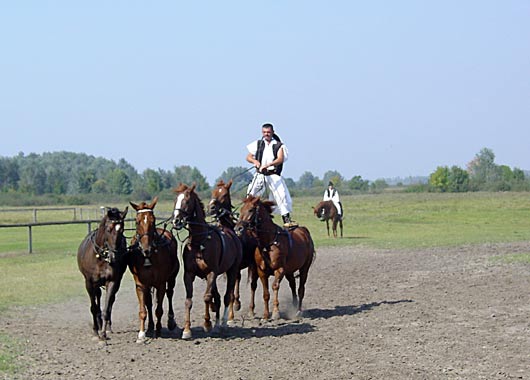 Five-in-Hand riding display - click to close
